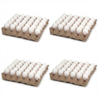 Combo 25: 4 Maple de Huevos N1